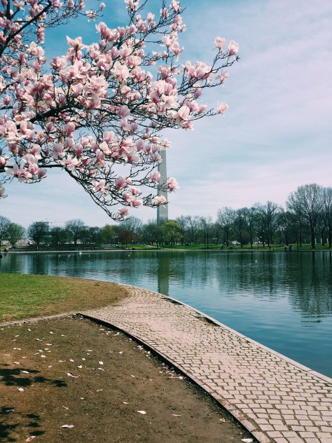 Processed with VSCOcam with c1 preset