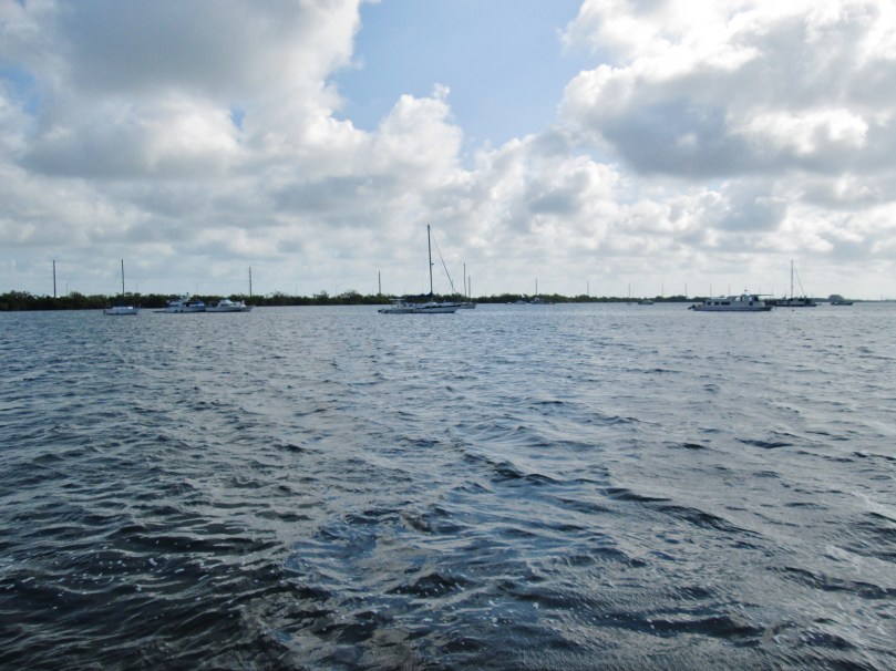 View from our campsite