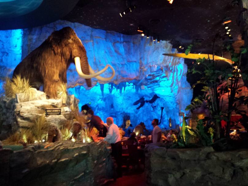 12132529_10208885022586504_3845540442521170411_o