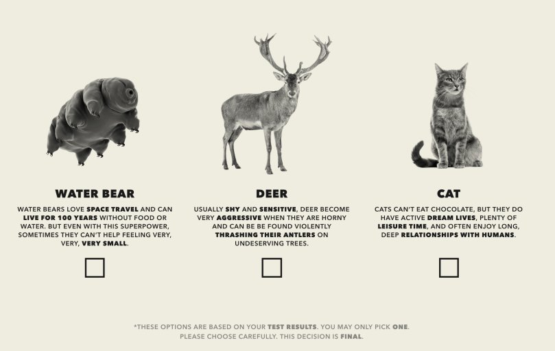 I am already a cat, but I mean a water bear and a deer are great backup choices.