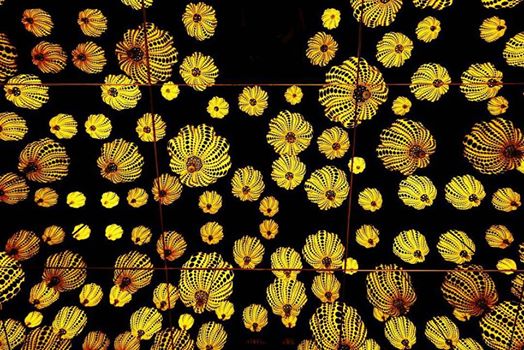 18274853_10212893070865206_7970185016888938460_n