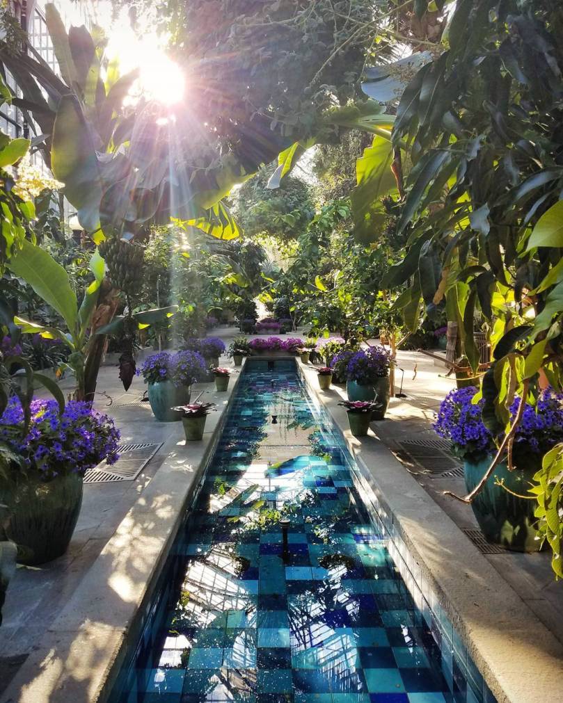 17494739_1622445467784590_1509680544982499328_n